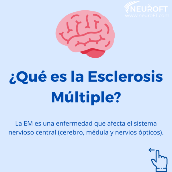 Todo Lo Que Debe Saber Sobre La Esclerósis Múltiple